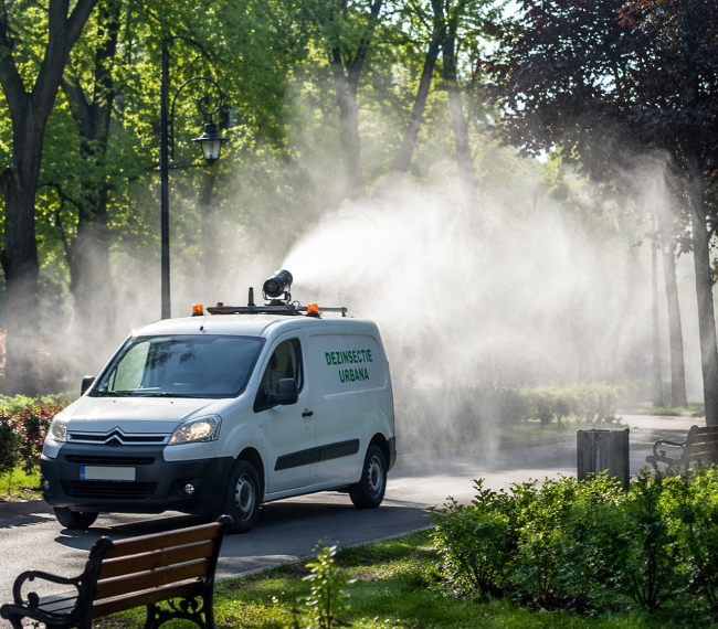 Primăria Târgu Mureș anunță startul dezinsecției: unde și când se intervine