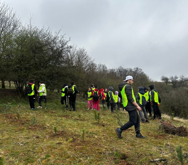 5000 de puieţi plantaţi în Mureş: o întreagă comunitate unită pentru natură