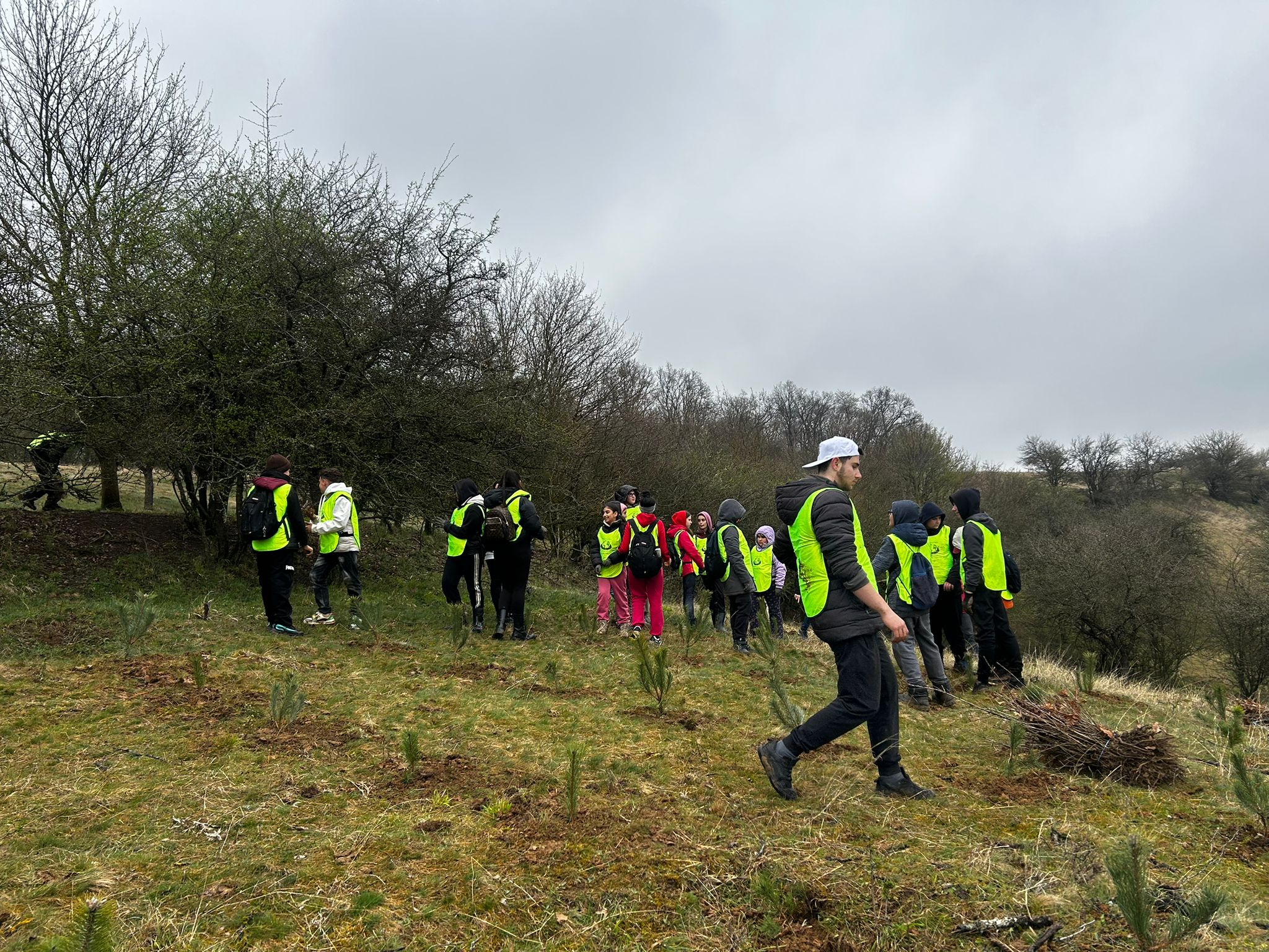 5000 de puieţi plantaţi în Mureş: o întreagă comunitate unită pentru natură