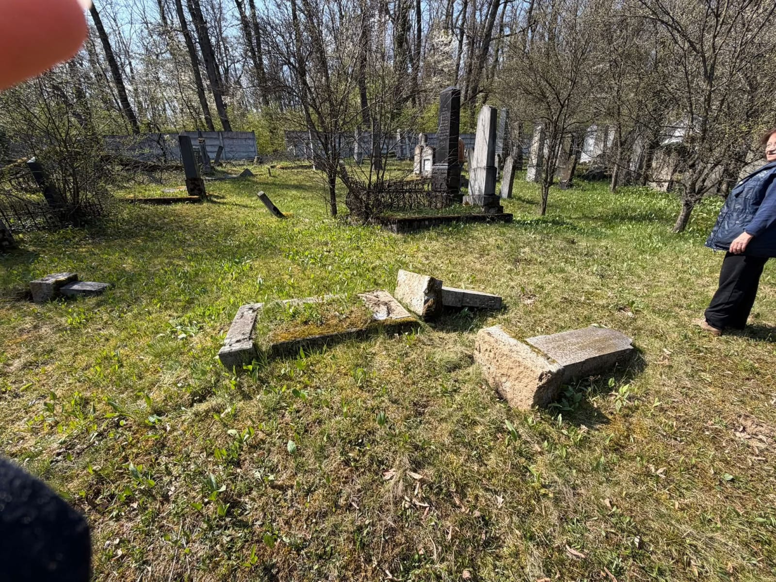 Ambasada Israelului condamnă profanarea cimitirului evreiesc din Reghin: „O manifestare antisemită care nu poate fi tolerată”