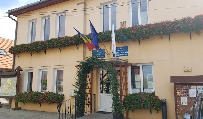 Primarul din Sângeorgiu de Mureș critică reducerea posturilor: „Trebuia făcută o diferențiere pe criterii de performanță”